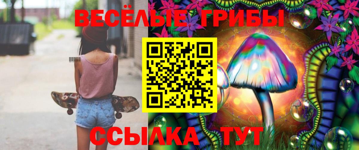 Красногорск  Галлюциногенные грибы GOLDEN TEACHER  купить закладку  Вход с VPN 